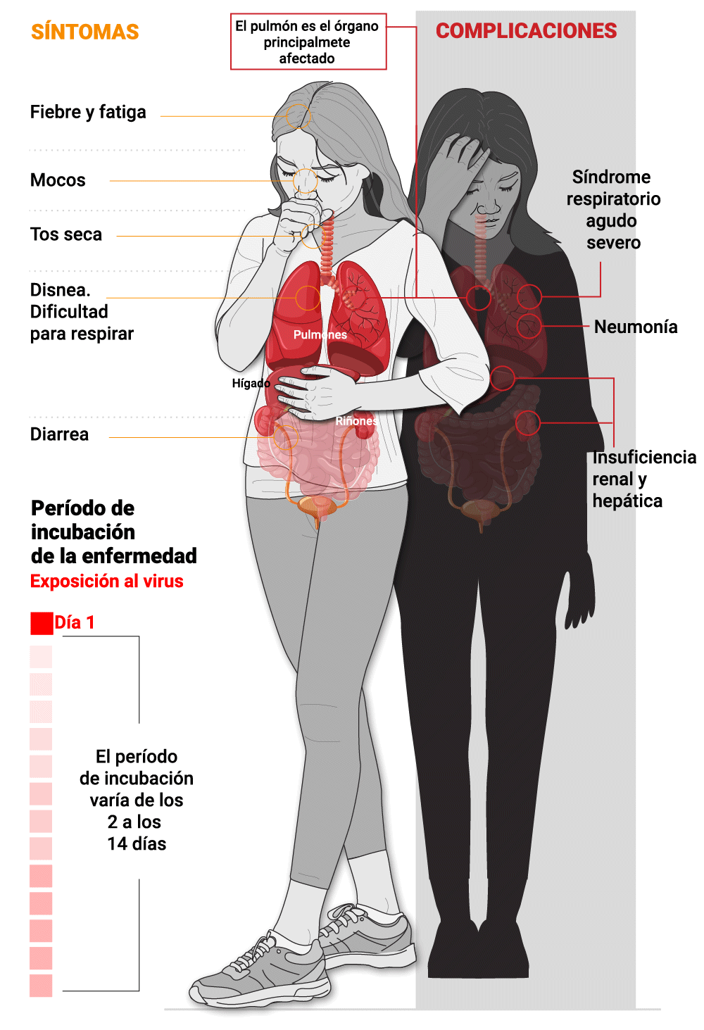 Cuáles son los síntomas, cómo se contagia y todo lo que