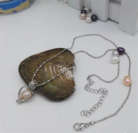 Comprar Colar De Perola Que Vem Na Ostra Barato&nbsp;Preço